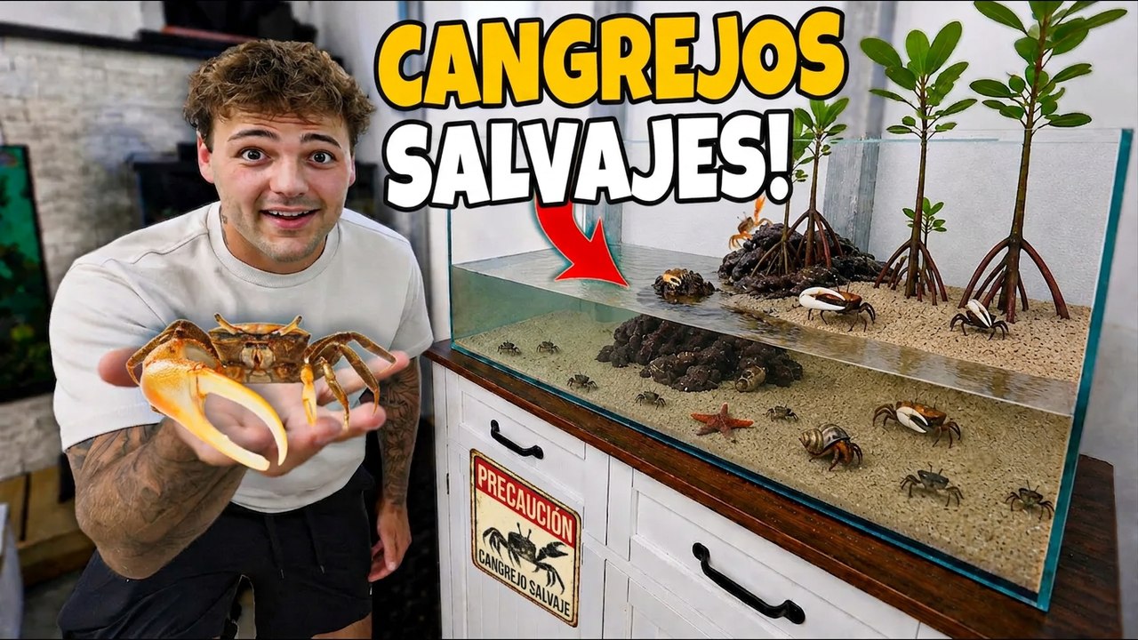 ¡Atrapo animalitos para mi nuevo acuario marino!