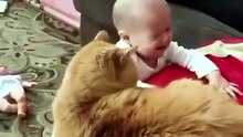 Best Moment Cats and Kids 😸😸😸