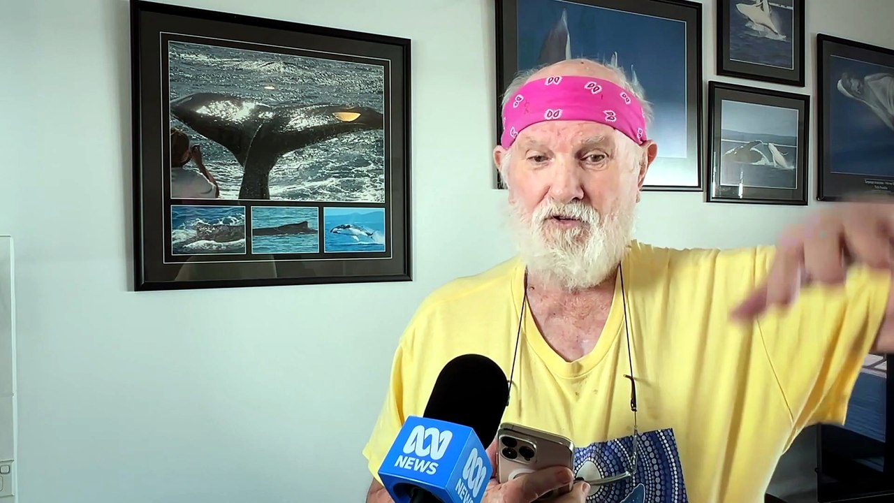 Locals help humpback whale calf stranded at K’gari