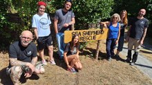 Morbihan centre de soins Sea Shepherd pour animaux sauvages