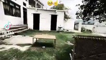 Funny videos 📸