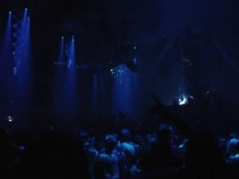 Sensation black 2008 Donkey rollers