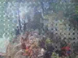 Trailer Corsica 2008