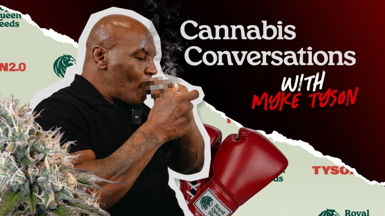 Mike Tyson x Royal Queen Seeds | Cannabis Interview at Mary Jane Berlin 2026