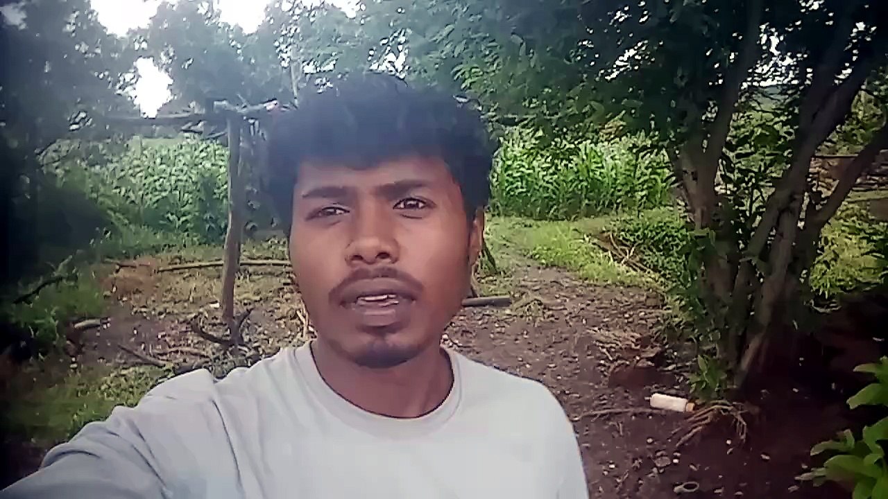 May first day video