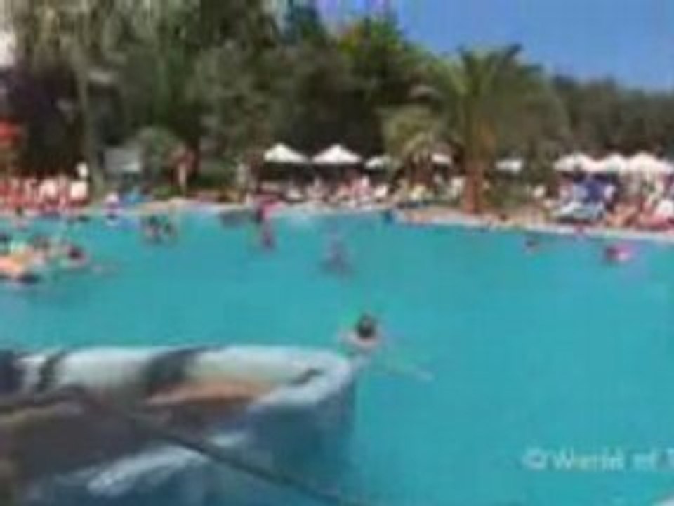 Coma Gran in Sa Coma, Majorca - Thomson