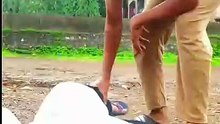 15 August comedy video