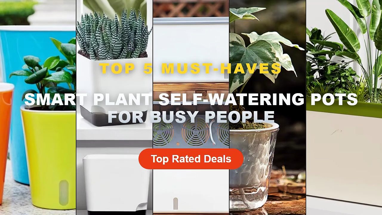 Best Smart Plant Self-Watering Pots For Busy People on AliExpress | Review - High Quality Modern Self Watering Planter P...