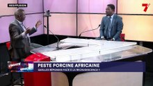 Invité de la rédaction | Peste porcine Africaine : Quelle réponse face à la recrudescence ?