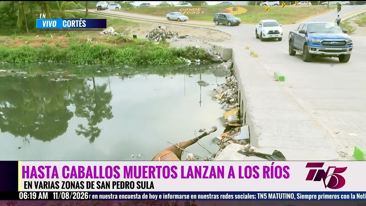 Tiran caballos muertos a ríos en SPS