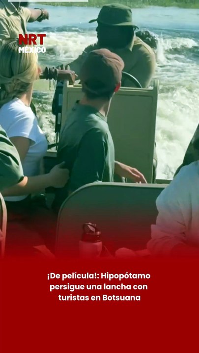 ¡De película! Hipopótamo persigue una lancha co...