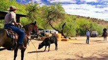 TIERRA DE AMOR Y CORAJE | CAPÍTULO 1