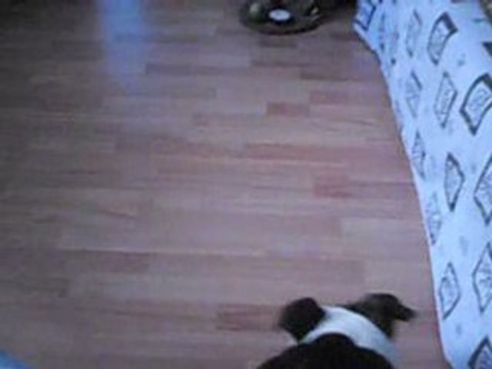 athena et sa soeur dyna