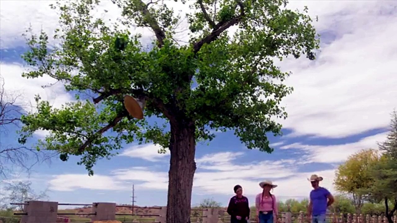 TIERRA DE AMOR Y CORAJE | CAPÍTULO 2