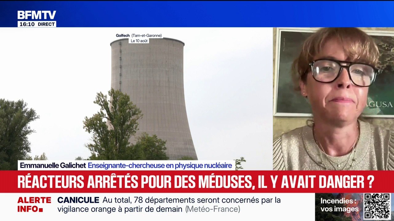Réacteurs arrêtés pour des méduses: "Des épisodes de canicule sur les centrales nucléaires, on en a déjà eu", indique Emmanuelle Galichet, enseignante-chercheuse