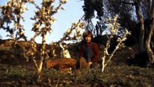 O Filho de Shane 1968 Dublado - Mike Marshall, Valerio Bartoleschi, dane savours