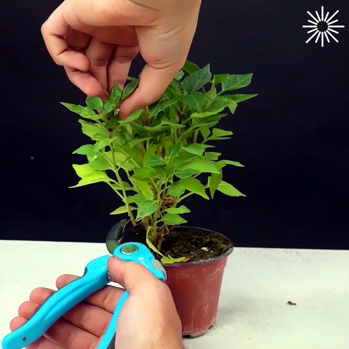 Incredible life hacks that make life easier!