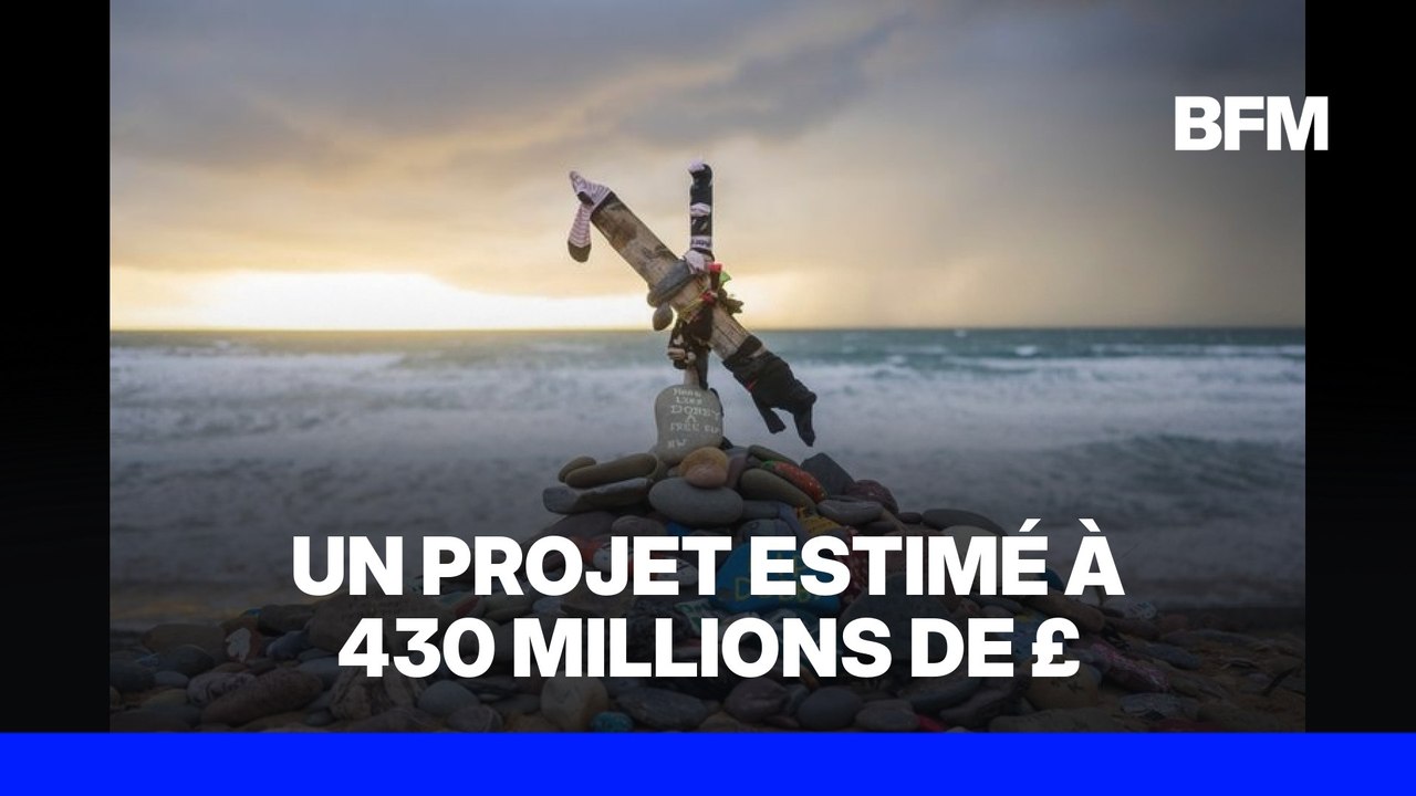 Des fans de Harry Potter font dévier un projet de câble électrique pour protéger la "tombe" de Dobby