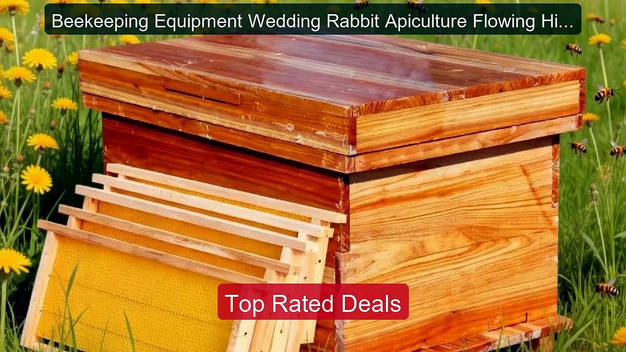 Beekeeping Equipment Wedding Rabbit Apiculture Flowing Hive Fl... -- Best Buy 2026 | Great Quality!