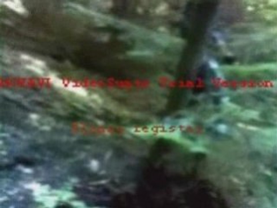 Session vtt dirt au terrain du 15/07/08