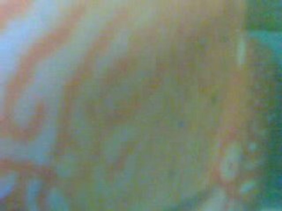 Videos  des bb discus