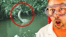 Animales extintos que podrían seguir vivos...