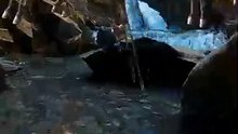 SpinningMule - #funnyanimals #pets #fyp #SpinningMule