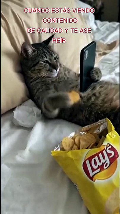 1000483666