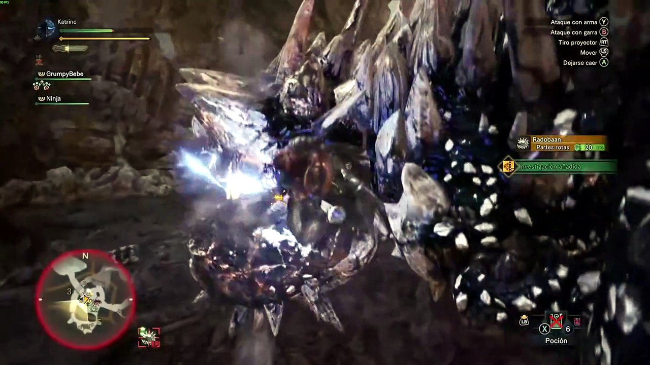 MHW radobaan