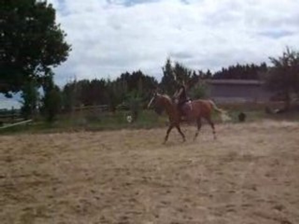 DSCF2366