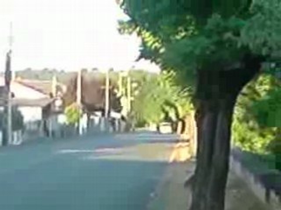 Derbi