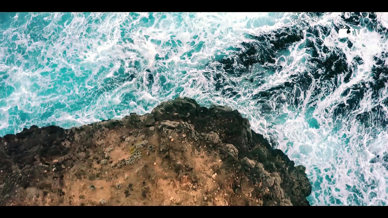 Last Seen - Official Trailer Apple TV