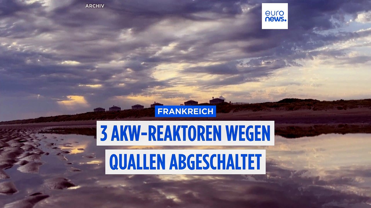 Quallenplage in Frankreich: 3 AKW-Reaktoren müssen abgeschaltet werden