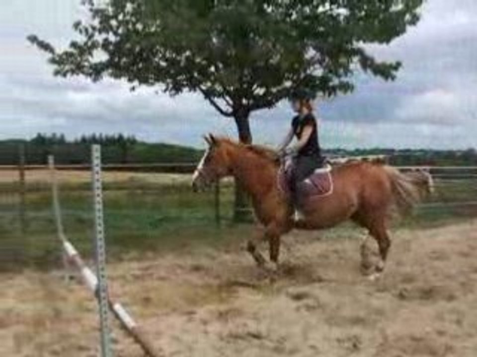 DSCF2367