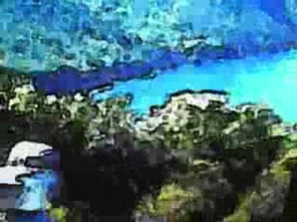 De vague en vogue