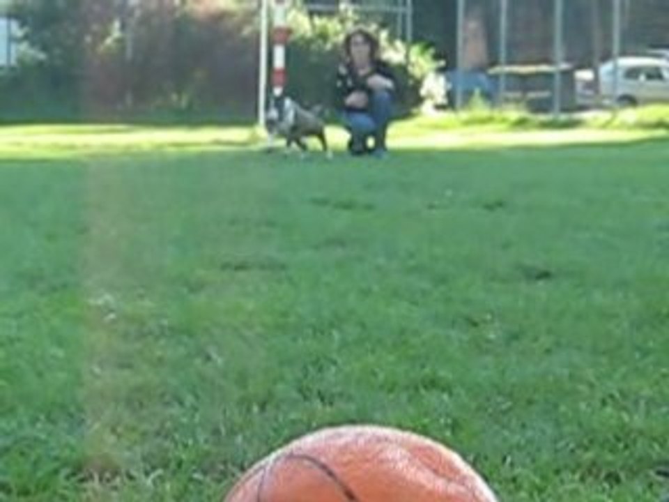 Coca et son ballon