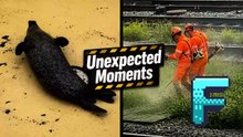 Unbelievable Moments Cought! | MomentFlare Collection 2
