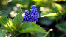 Panasonic GF3 – Still Worth Using Today? | Micro Four Thirds Photo & Video Samples