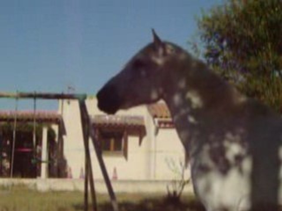 Loustic 077