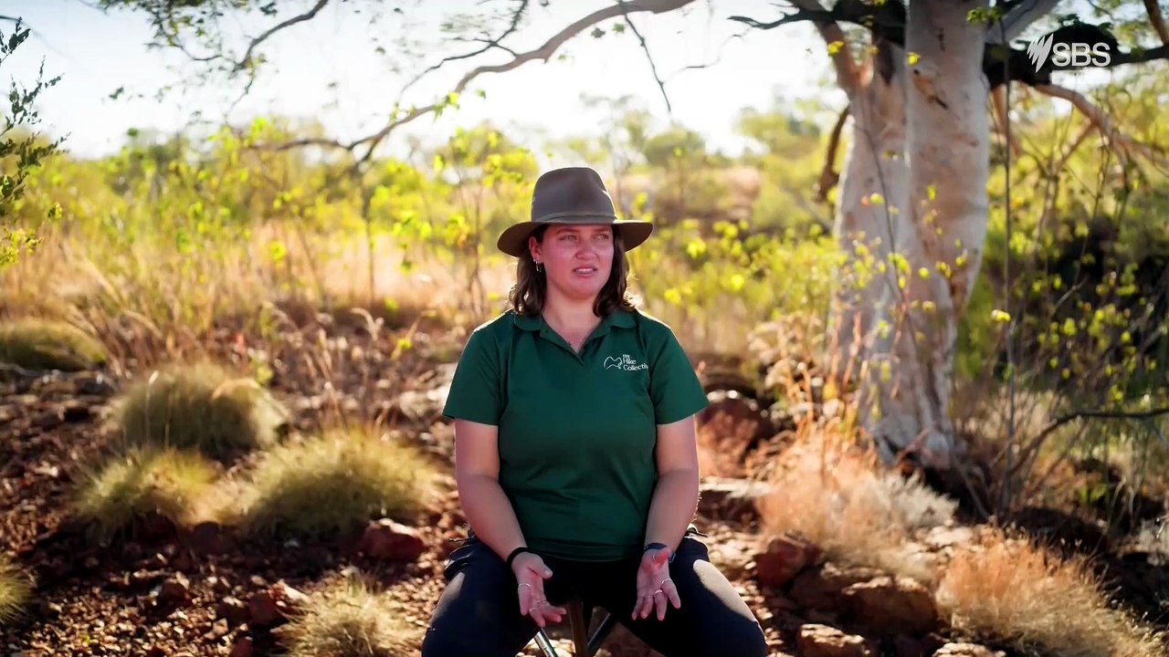 going places with ernie dingo s07e02