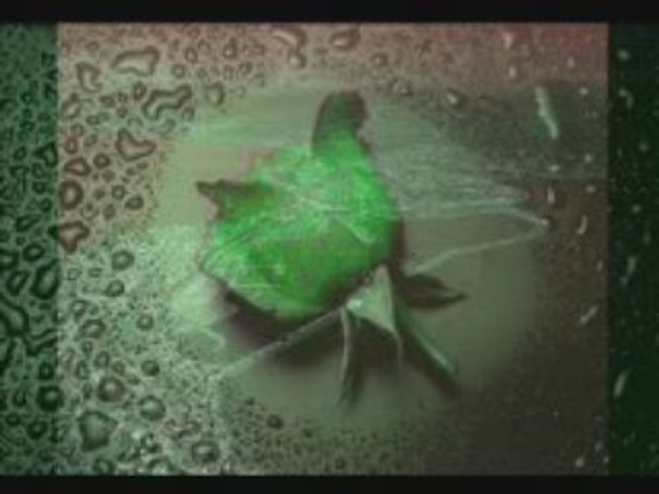 new 2008 mimoun rafroua .Arif Ner Netouth