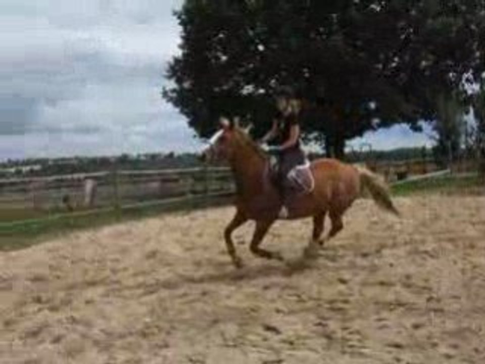 DSCF2371
