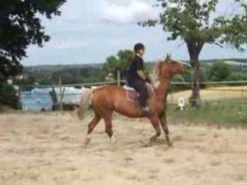 DSCF2375