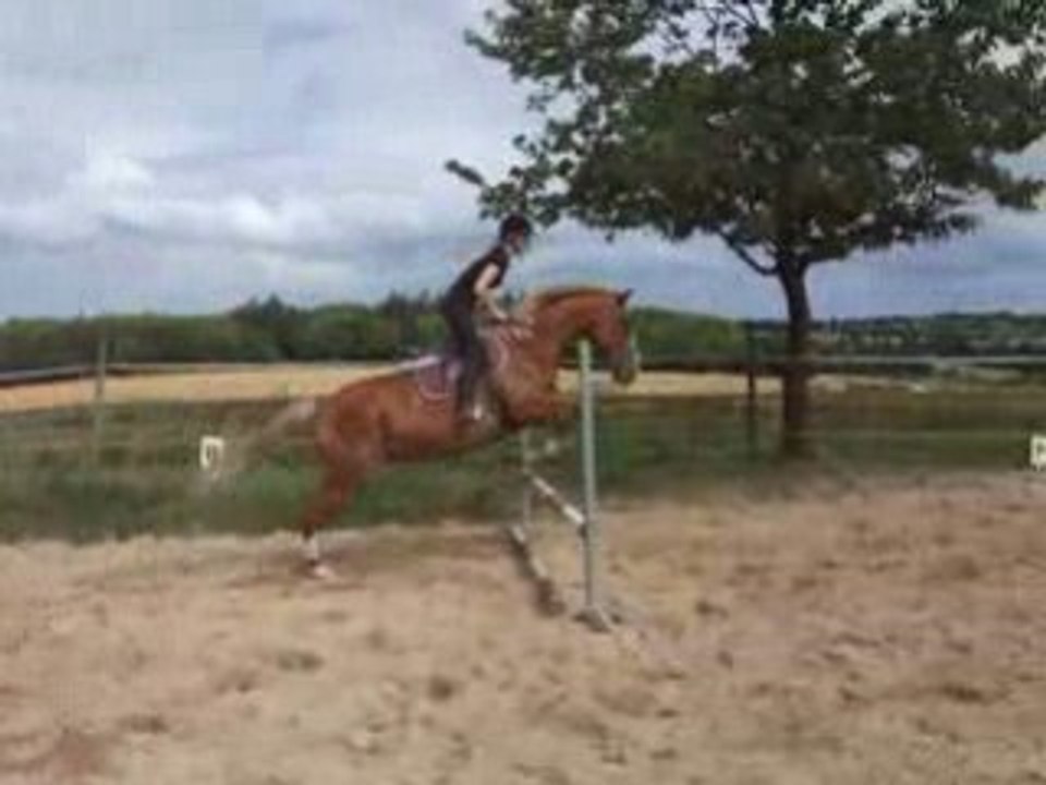 DSCF2378