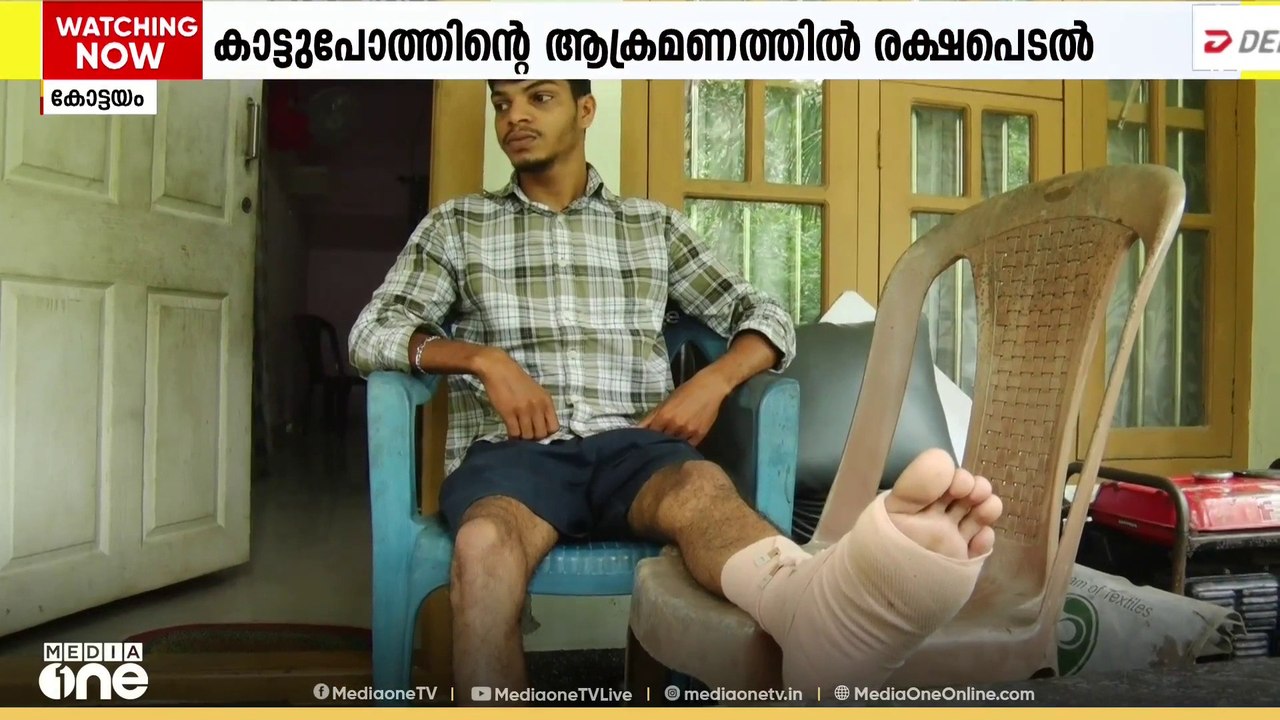 കോട്ടയത്ത് വന്യമൃഗശല്യം രൂക്ഷം; കാട്ടുപോത്തിന്റെ ആക്രമണത്തിൽ നിന്ന് ബൈക്ക് യാത്രികൻ രക്ഷപ്പെട്ടു