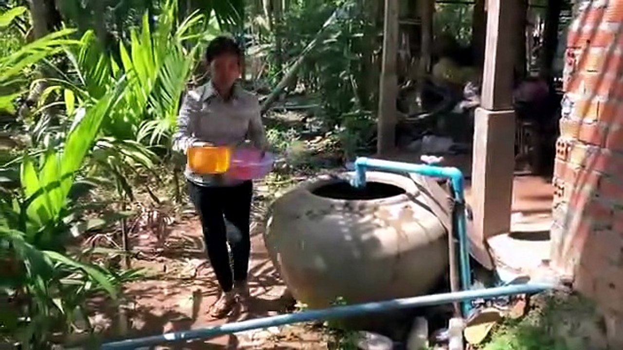 Cultivar coqueiros The Cientist - O MacGyver Brasileiro