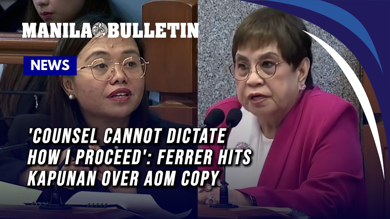Ferrer, Kapunan clash over COA AOM copy during...