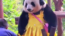 Huahua's Dance Universe｜花花的舞蹈宇宙（9）