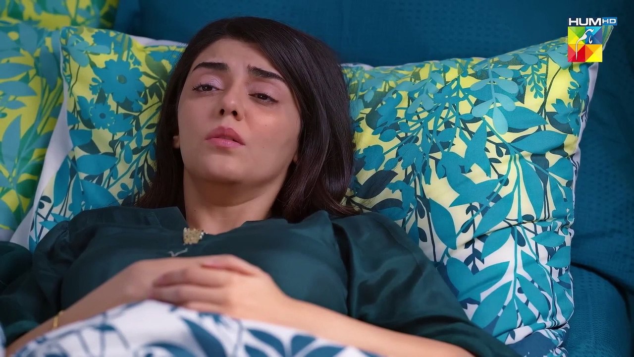 Pehli Mohabbat - Episode 65 - 6th Jun 2025 - [ Noreen Gulwani & Ibrahim Ali Alavi ] - HUM TV
