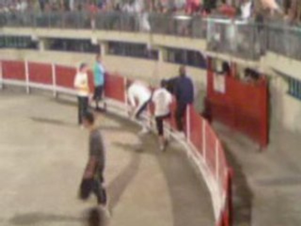 Toro-piscine